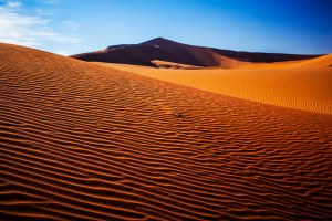 Sand Dune Ripples