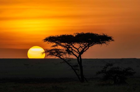 _Y5A9043 Serengeti sunset web ready